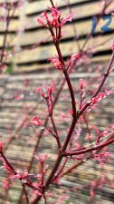 IMG_3989.jpeg