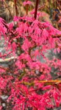 IMG_3994.jpeg
