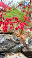 IMG_3995.jpeg