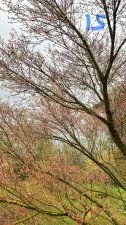 IMG_3999.jpeg