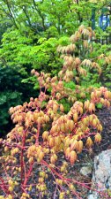 IMG_4006.jpeg