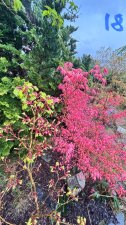 IMG_4027.jpeg
