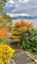 IMG_3027.jpeg