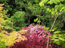 jardin_250527c.jpg