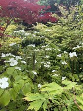 IMG_1837.jpeg