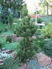 IMG_1257.jpg