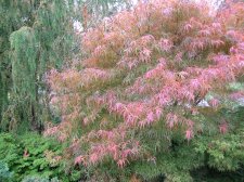 DSCN2614.jpg