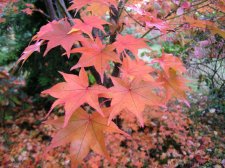 DSCN2713.jpg