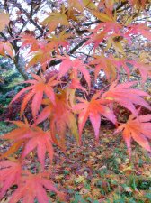 DSCN2758.jpg