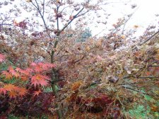 DSCN2784.jpg
