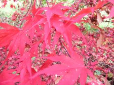 DSCN3098.jpg