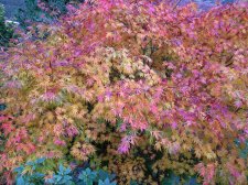 DSCN3125.jpg