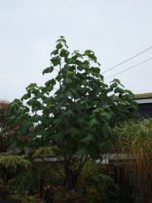 DSC00027.JPG