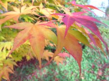 DSCN3074.jpg