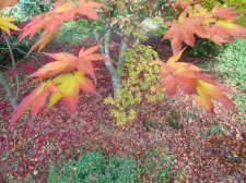DSCN3079.jpg