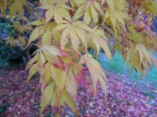 DSCN3209.jpg