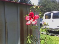 07-13-07_1405.jpg