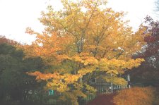 DSC_0089.jpg