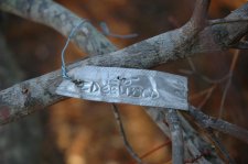 DSC_0064.jpg