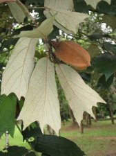 IMG_0027.jpg
