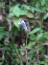 nEO_IMG_IMG_3219虻眼.jpg