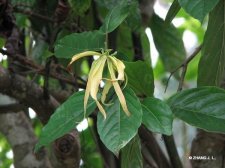 img_0020_187.jpg