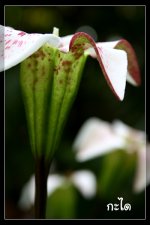 IMG_2910.jpg