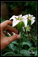 IMG_2869.jpg