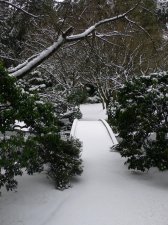nitobe_003.jpg