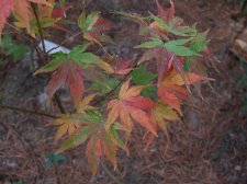 DSCF2391.jpg