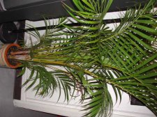 DSCN1108.JPG