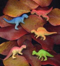 dinosaurs in fall leaves.JPG
