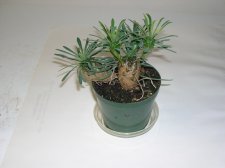 DSCN0521.JPG