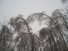 P1010029.JPG