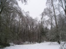P1010034.JPG