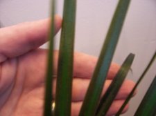 100_0091.jpg