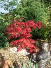 Garnet autumn 2004.jpg
