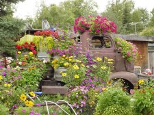 Flower Truck 002 (Small).jpg