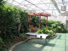 IMG_3960.jpg