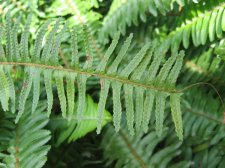 IMG_3956.jpg