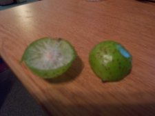 Strange fruit opened.jpg