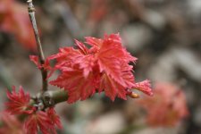 IMG_7475.jpg