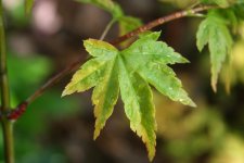 IMG_7569.jpg