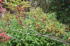 IMG_7548.jpg