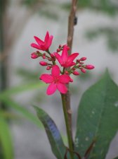 000_0111.jpg