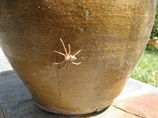 IMG_3302.jpg