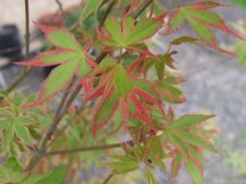 DSCF5938.jpg