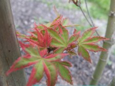 DSCF5941.jpg