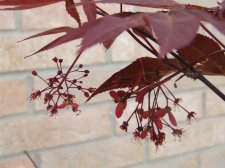 DSCF5916.jpg