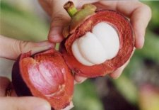 fruit2.jpg
